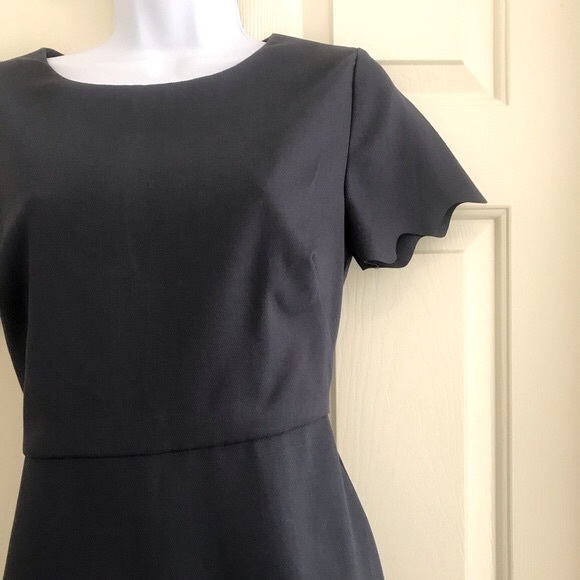 Loft Short Sleeve Scalloped Sheath Dress. Size 2 - Picture 4 of 5
